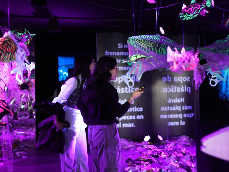 Experiencia inmersiva y líderes globales marcarán la Kumbre de Sostenibilidad 2026