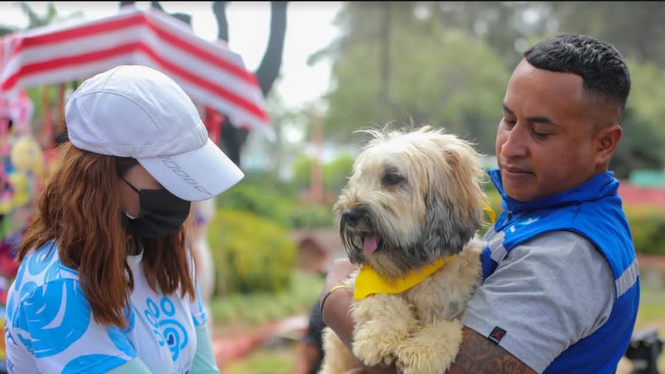 En la feria se brinda atención veterinaria gratuita.