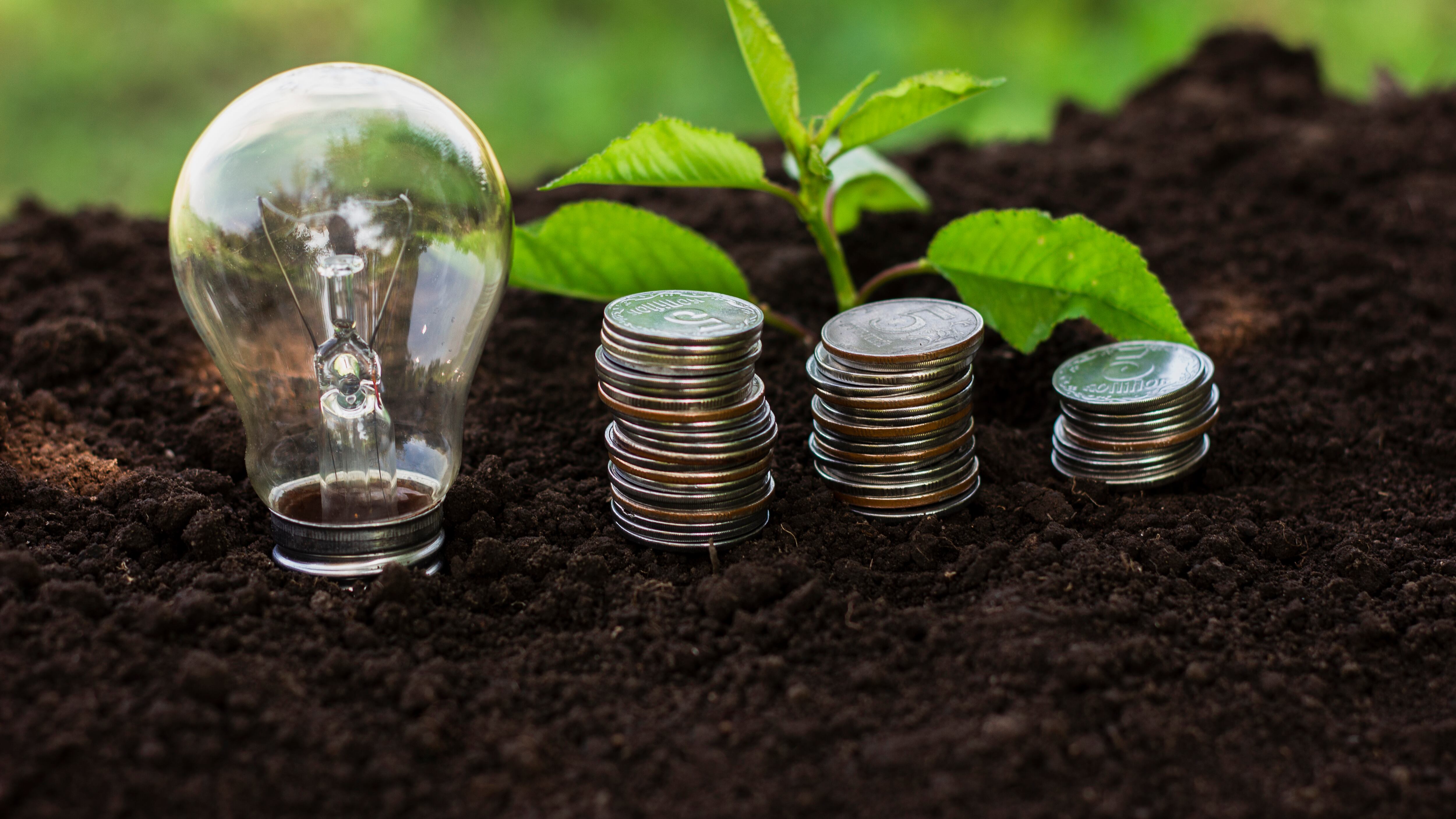 Al reducir nuestro consumo de energía, cuidamos el medio ambiente y nuestra economía. Foto: Freepik.