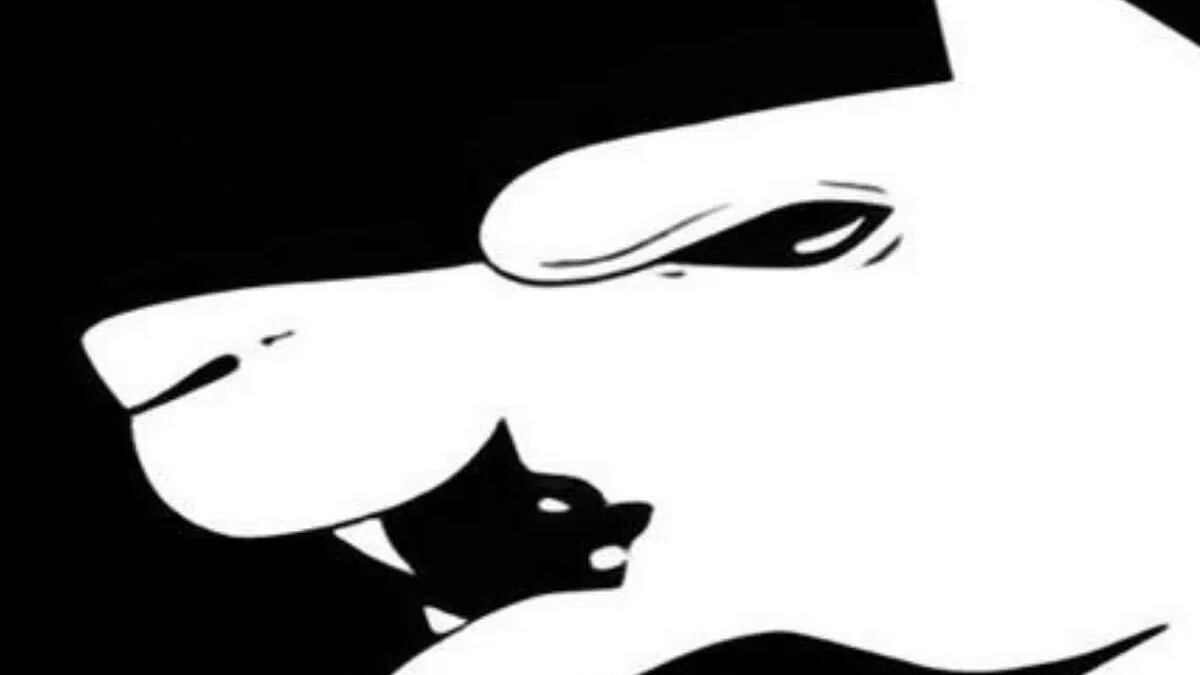 ¿Qué ves en la imagen?