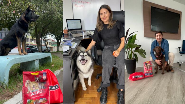 Alpo, alimento completo y balanceado para perros, y Metro Ecuador, promoviendo la adopción