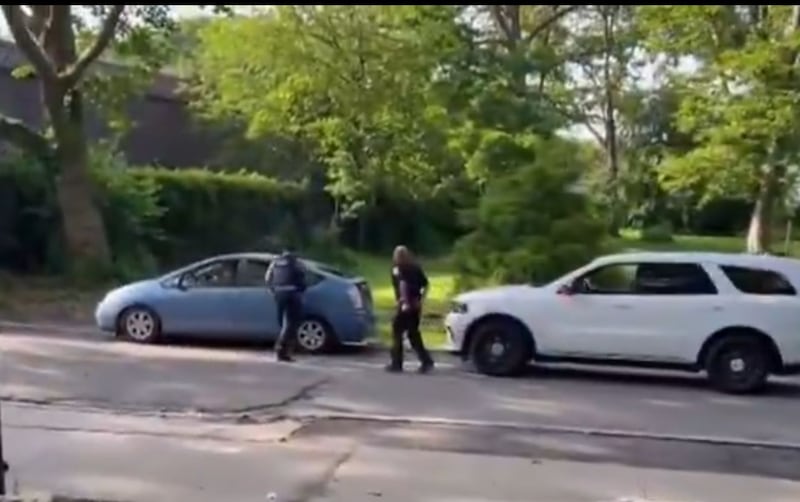 Cuatro hombres son arrestados tras robar un cisne en parque de Nueva York