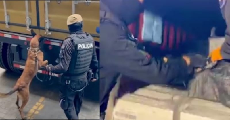 Cocaína incautada