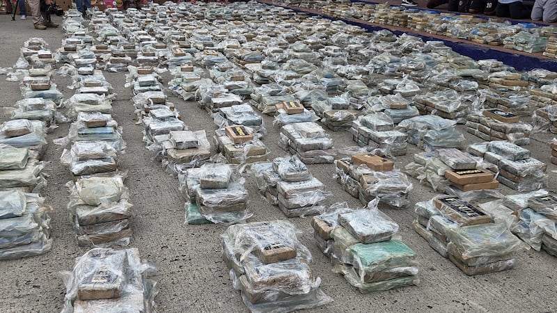 Decomisan tres toneladas de cocaína en cajas de banano: serían de la mafia albanesa