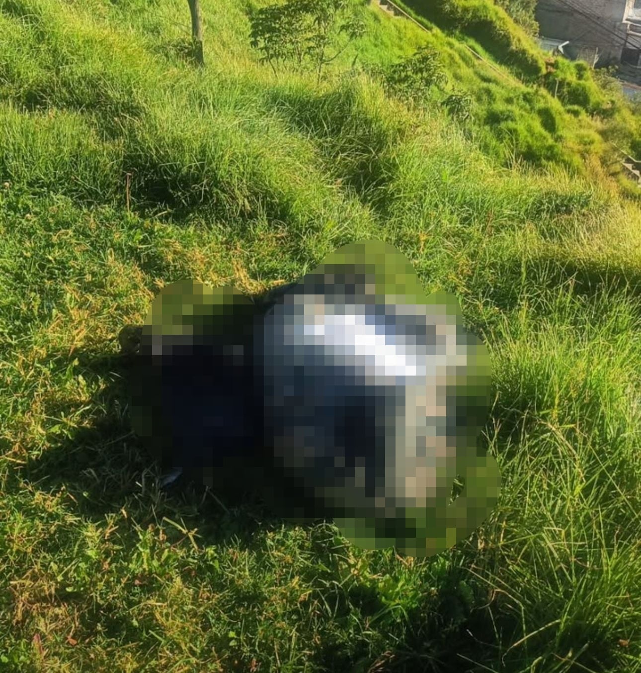 Macabro hallazgo en Quito: encuentran un cuerpo embalado junto a un mensaje que decía “Eso te pasa por bruja”
