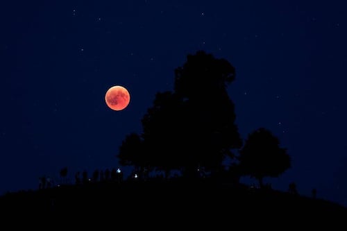 ¿No pudiste ver la Luna de Sangre? Las imágenes más destacadas del eclipse lunar total que iluminó el cielo nocturno alrededor del mundo