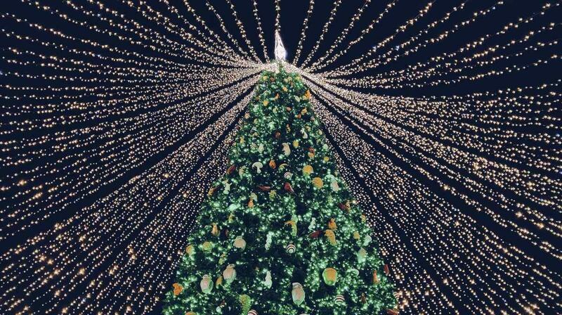 Árbol de Navidad