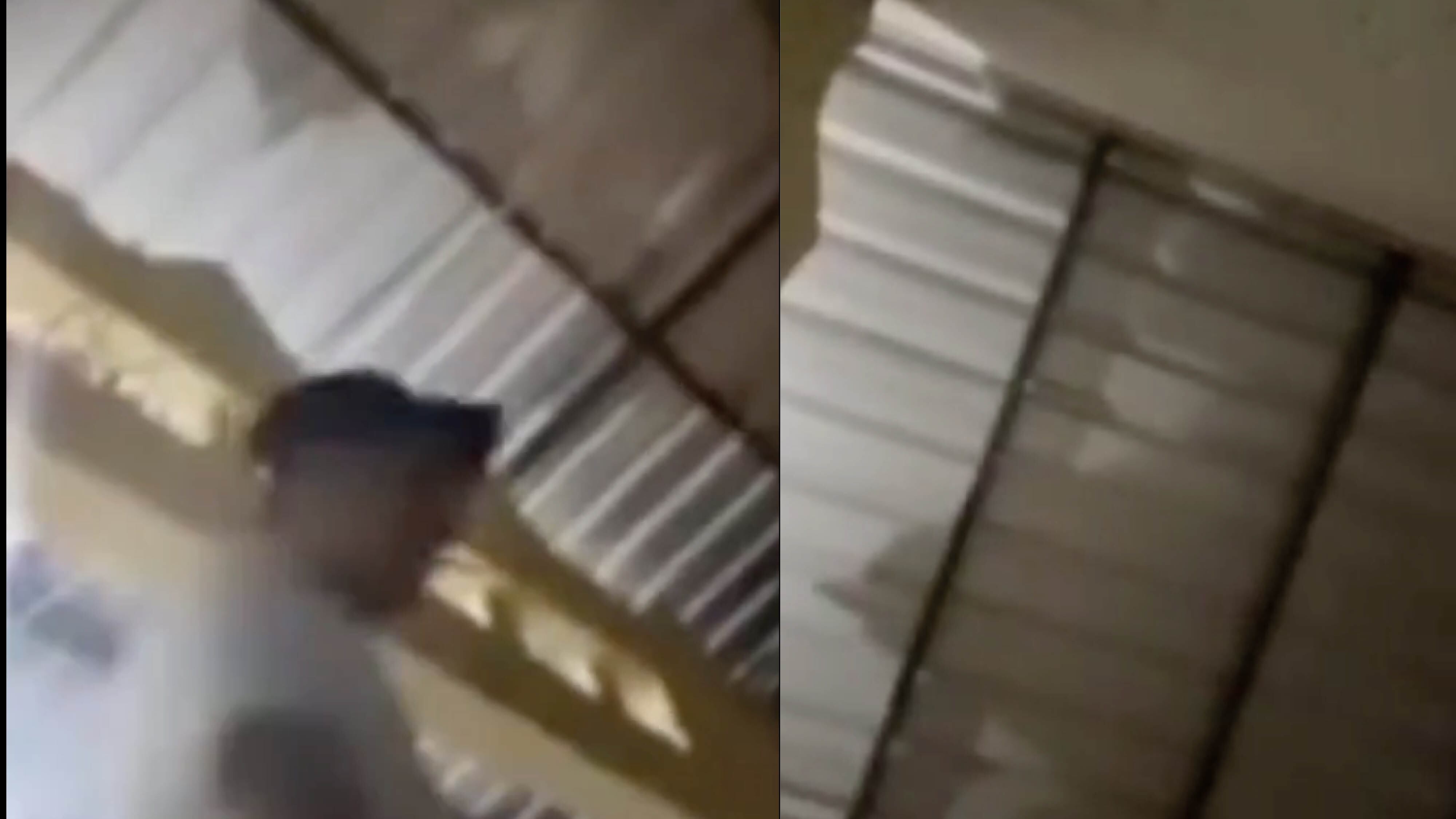 Joven asesinada en una transmisión en vivo