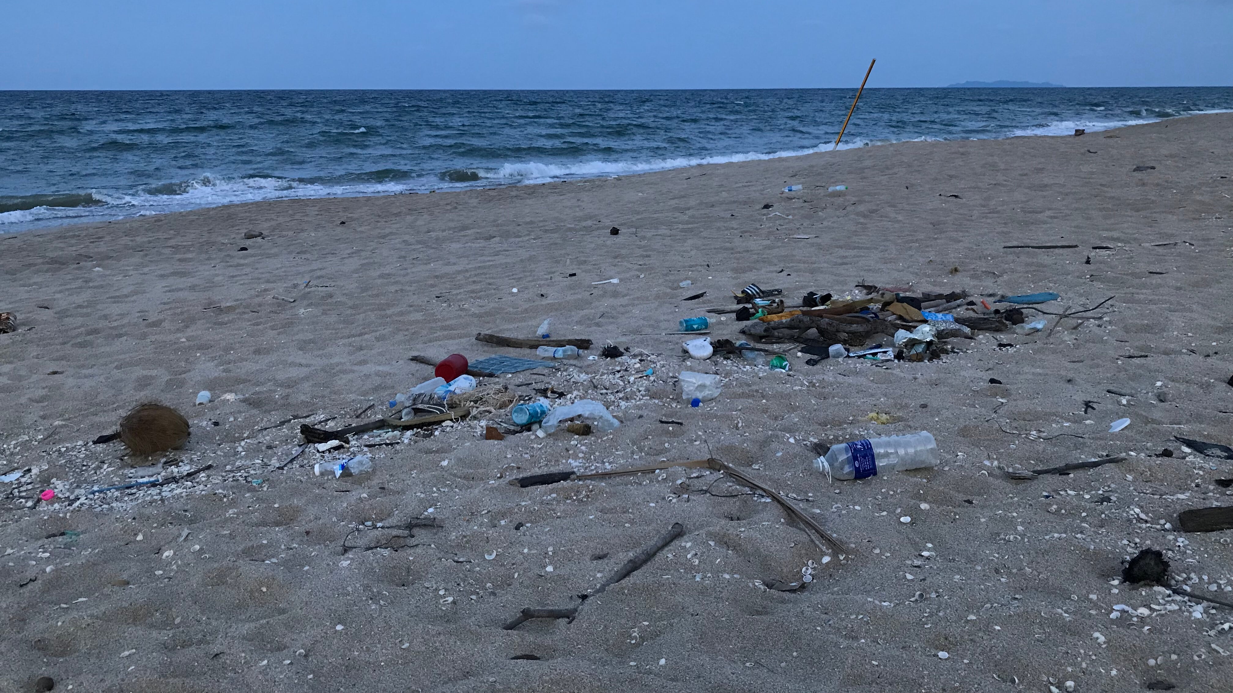 Trabajadores y comerciantes limpian por su cuenta ante la falta de recolección en la vía Data, en General Villamil Playas