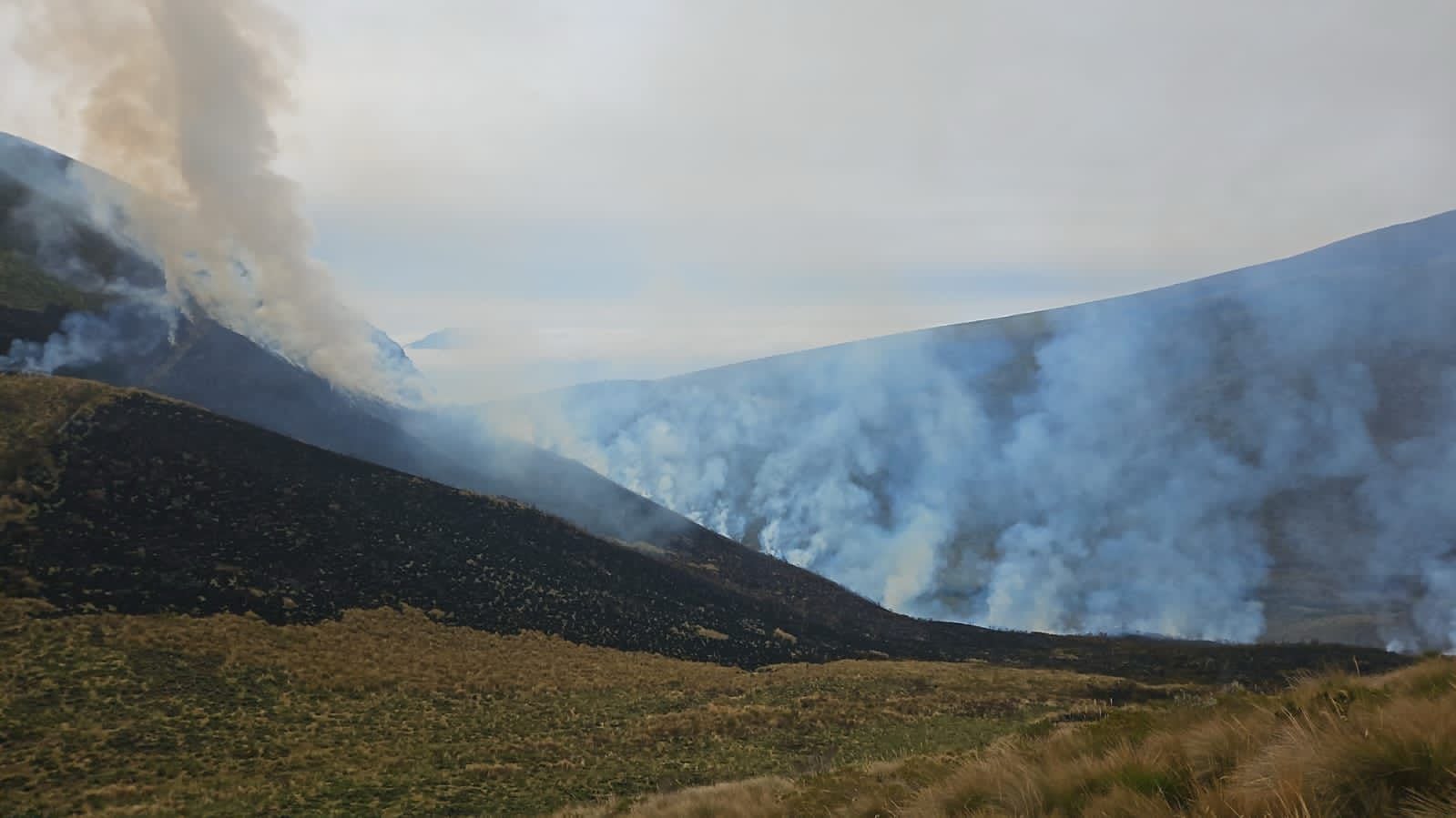 Incendio forestal en las inmediaciones de la Reserva Ecológica Ilinizas