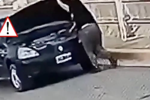Mujer fue atropellada por su propio carro, olvidó poner el freno de mano