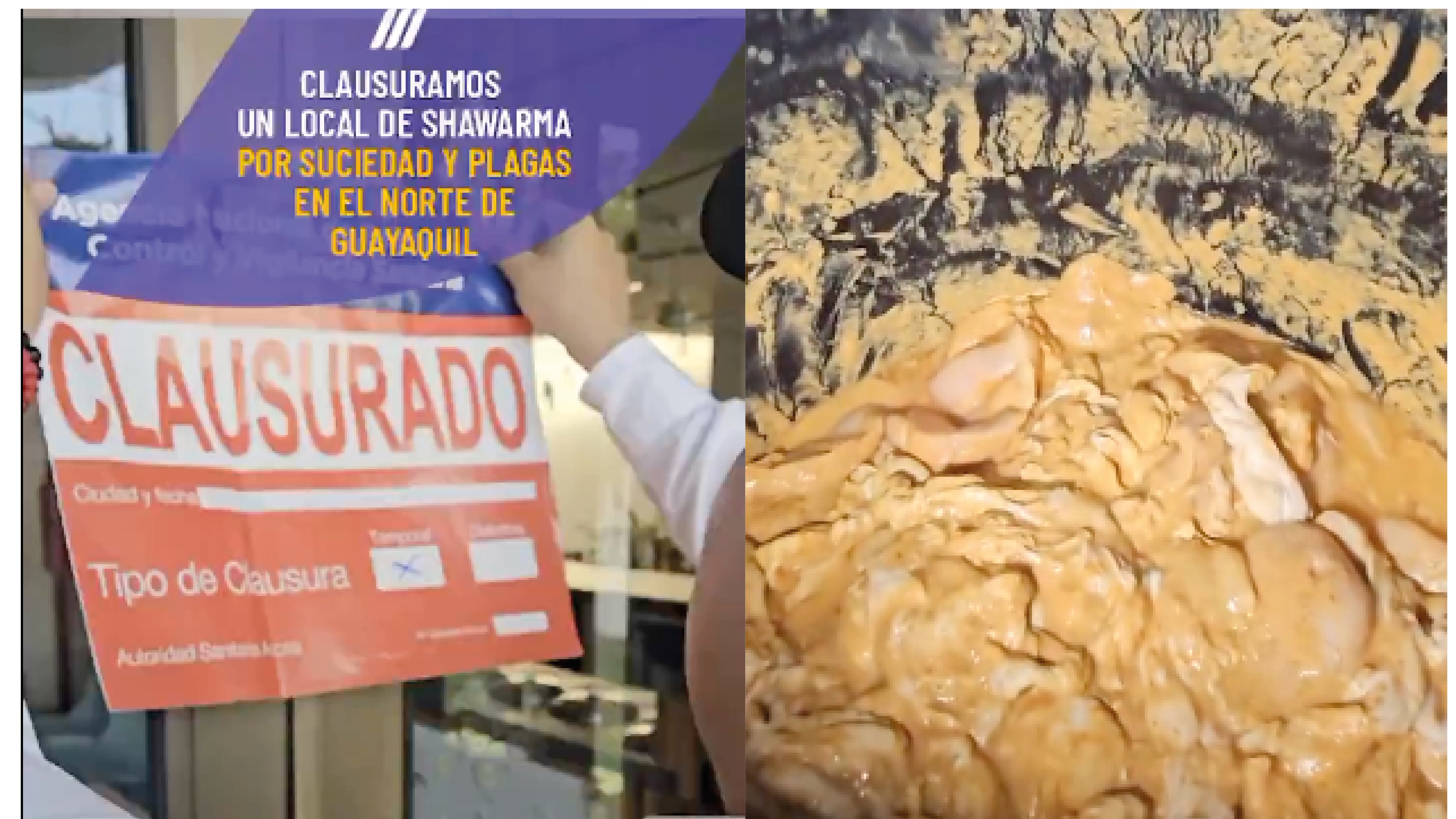 Encuentran un ratón en descomposición y varias plagas en un local de shawarmas en Guayaquil