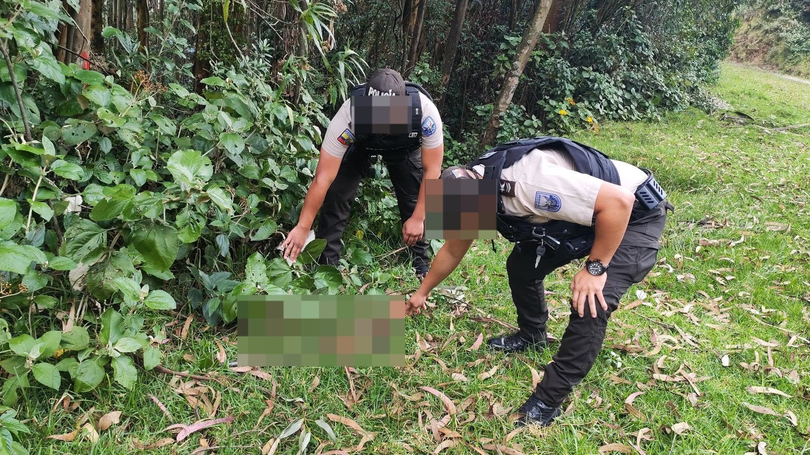 Dos armas de fuego fueron halladas abandonadas en distintos sectores de Quito - Fuente: Policía Nacional