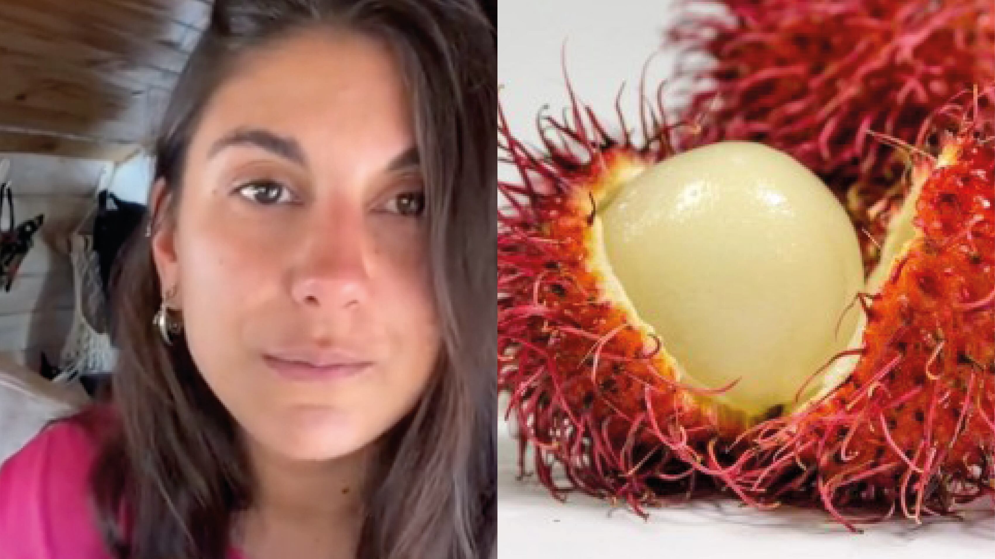 Argentinos probaron el achotillo