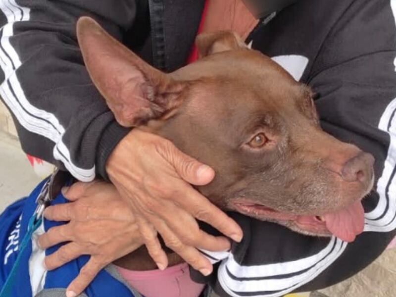Rihana brinda apoyo emocional a pacientes de ‘Por un futuro sin drogas’ en Guayaquil