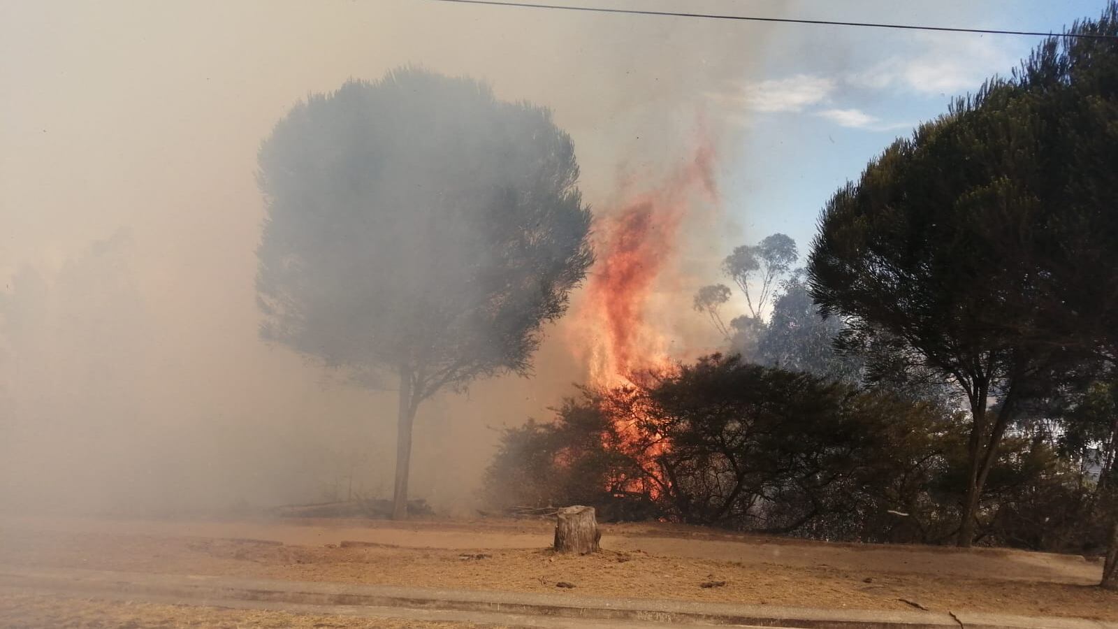 Incendio en Cumbayá