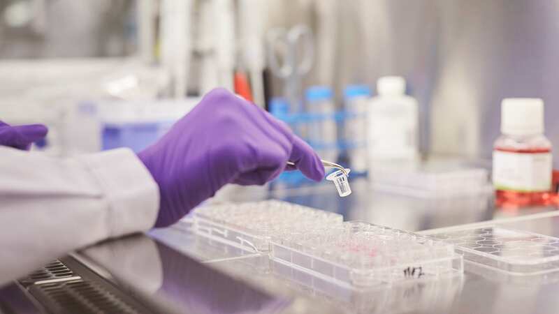 ¿Cómo funcionan los productos de tabaco calentado y otras alternativas sin humo?