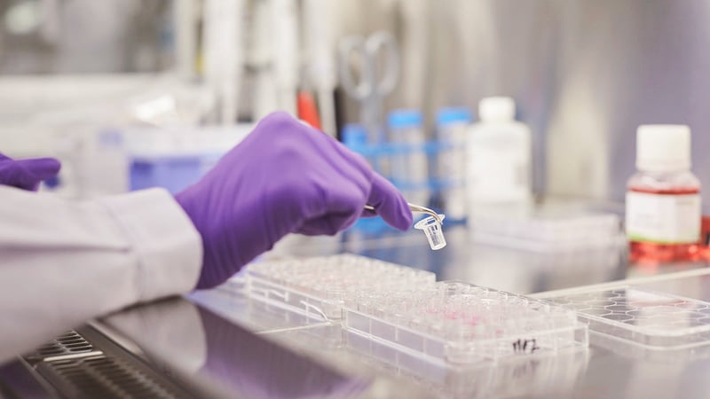 ¿Cómo funcionan los productos de tabaco calentado y otras alternativas sin humo?