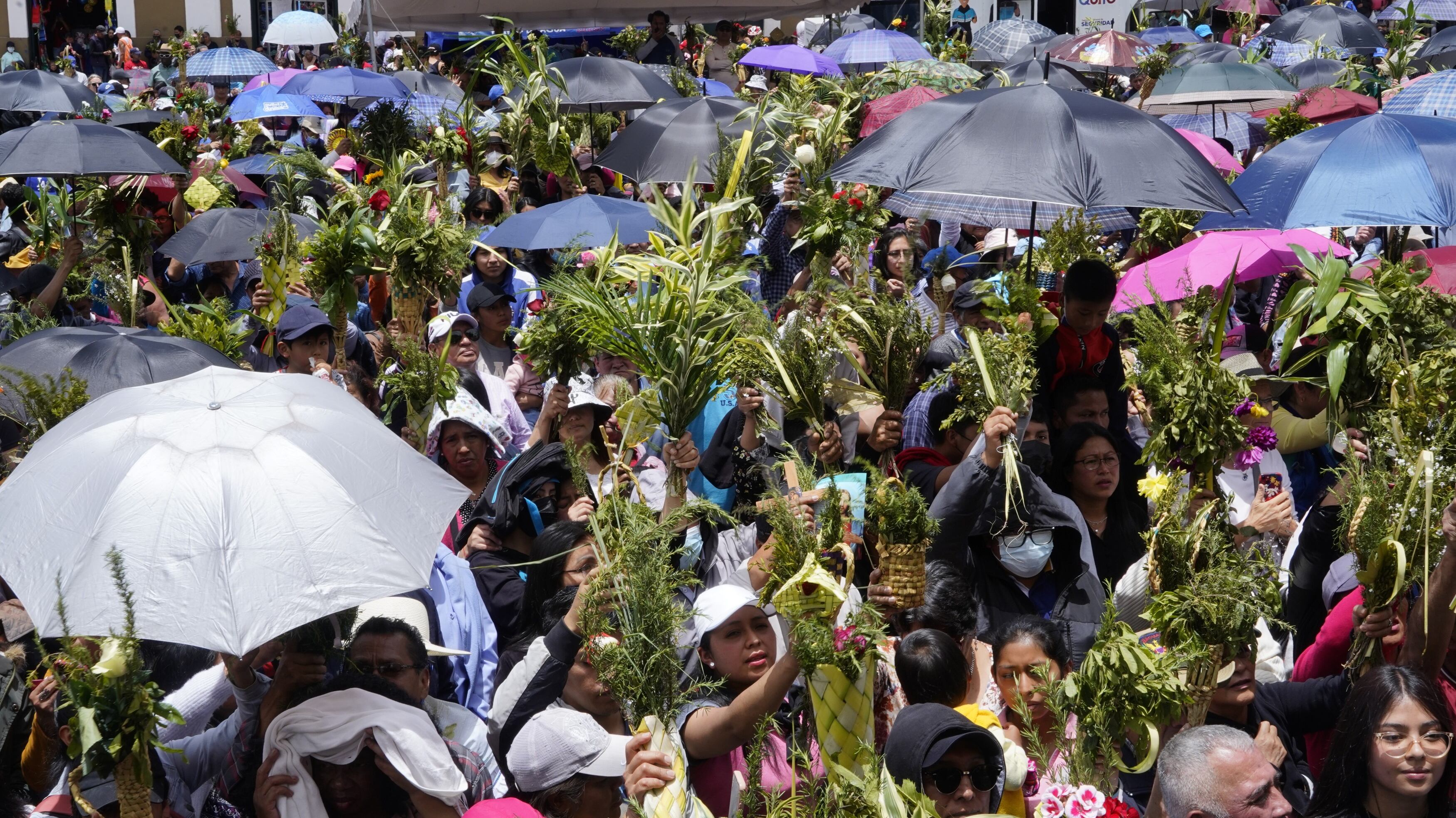 Domingo de Ramos, en el Centro de la Capital