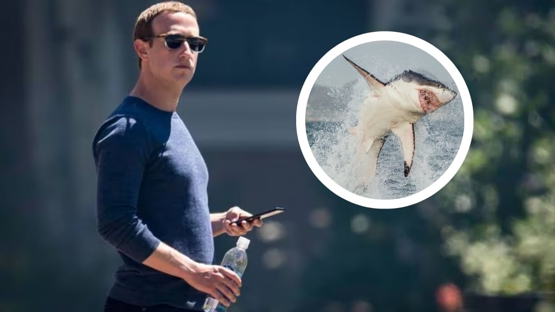 Mark Zuckerberg y tiburones | Composición