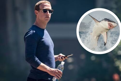 Protección millonaria: Así es el brazalete anti tiburones que usa Mark Zuckerberg