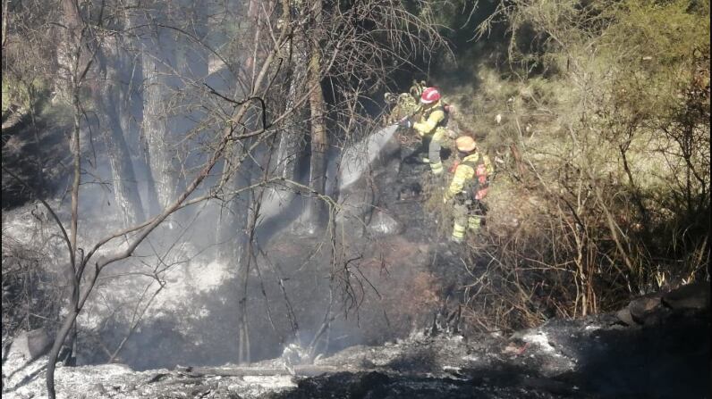 Azuay registra incendios forestales