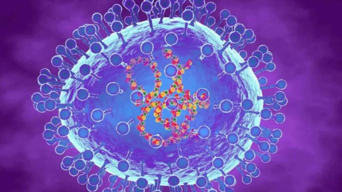 ¿Qué es el metapneumovirus humano y como se propaga?
