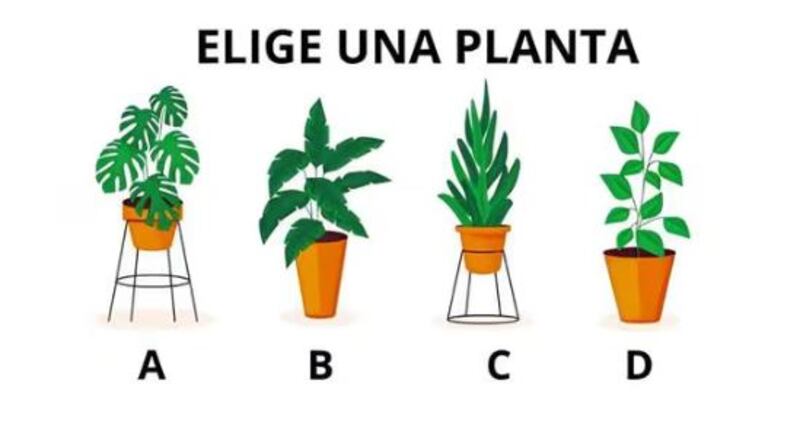 Imagen del test de personalidad