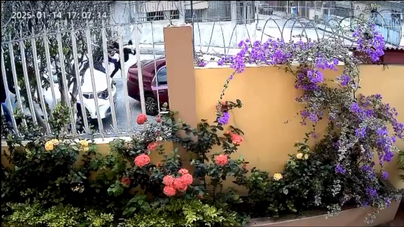 Momento en que sujetos armados se llevan a mujer en Bellavista, Guayaquil