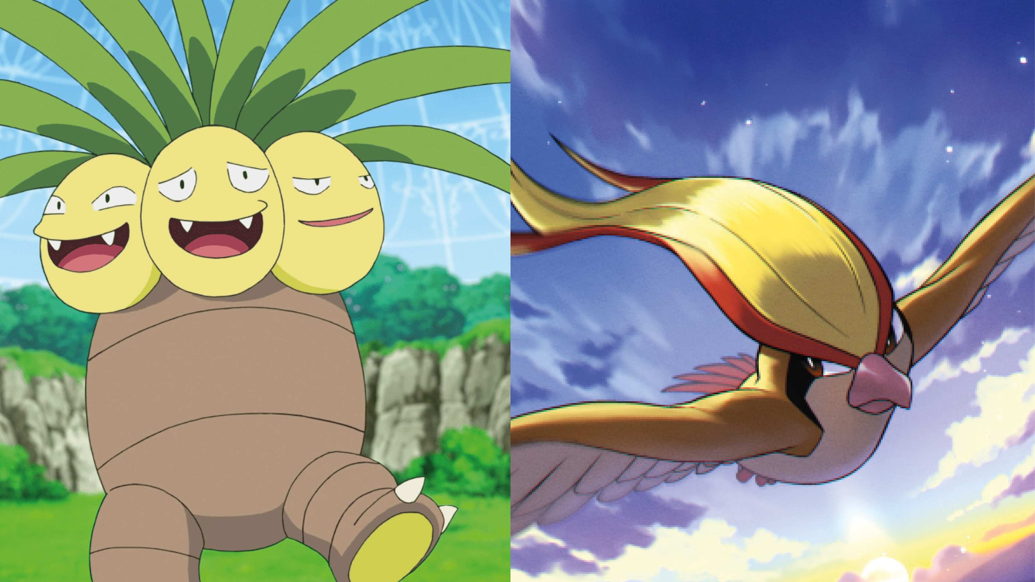 Pokemones en Ecuador