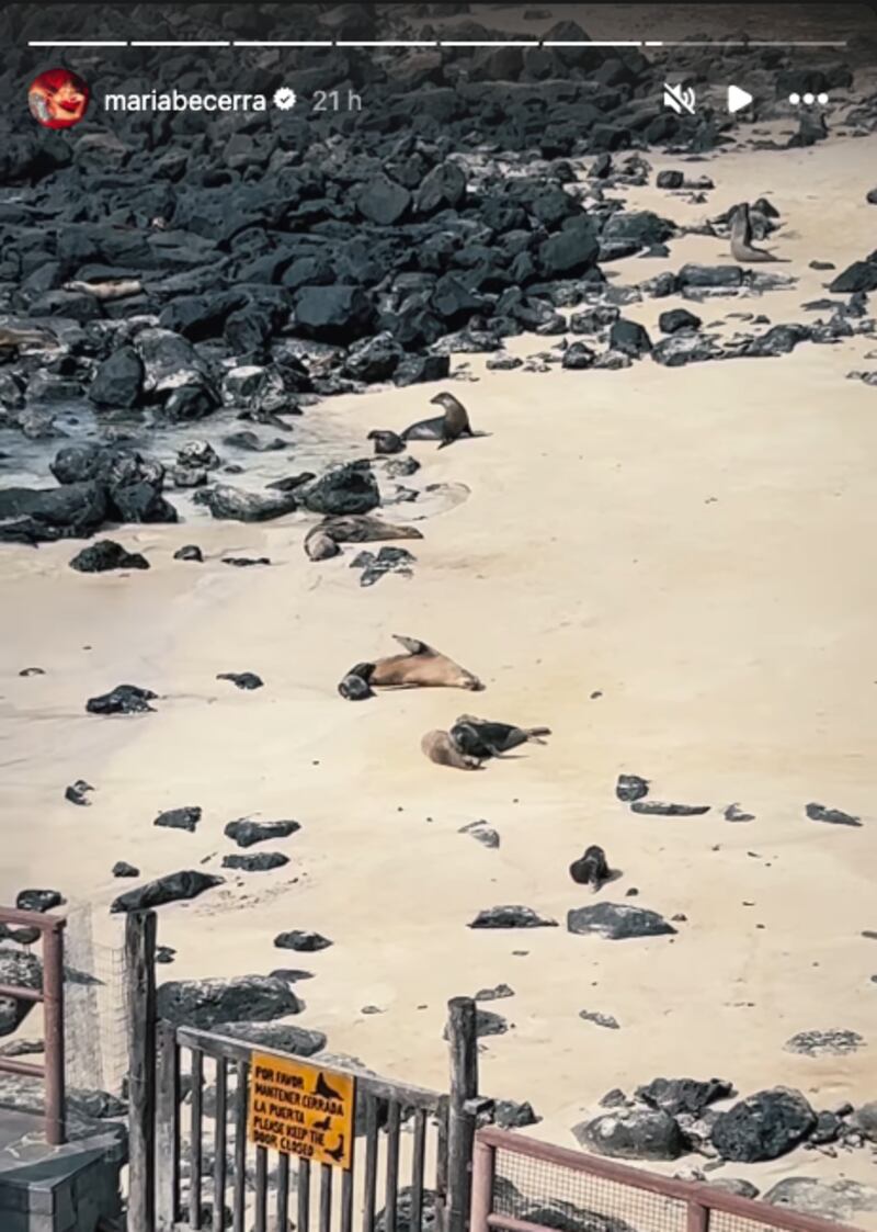 Las fotos de María Becerra disfrutando de las Islas Galápagos