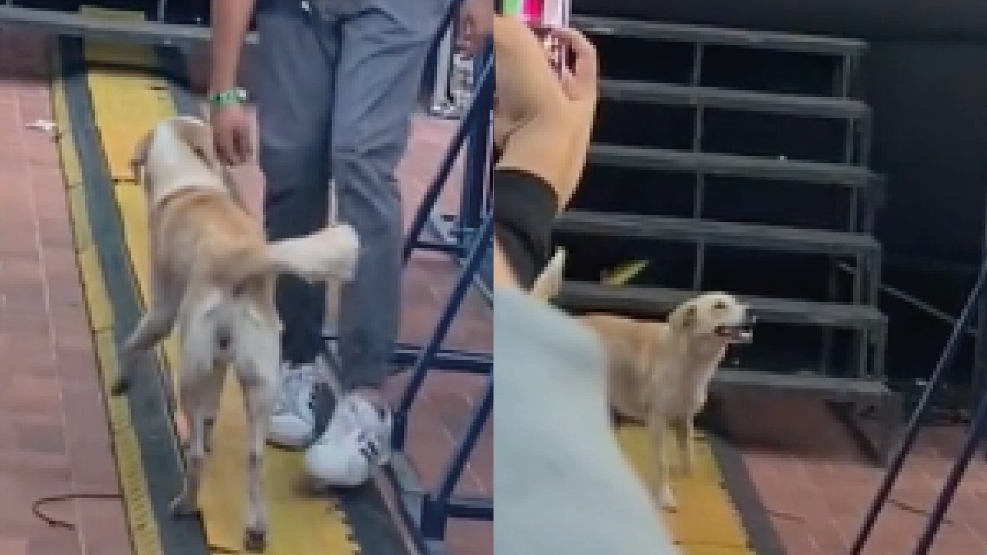 Se detuvo el show para aplaudir