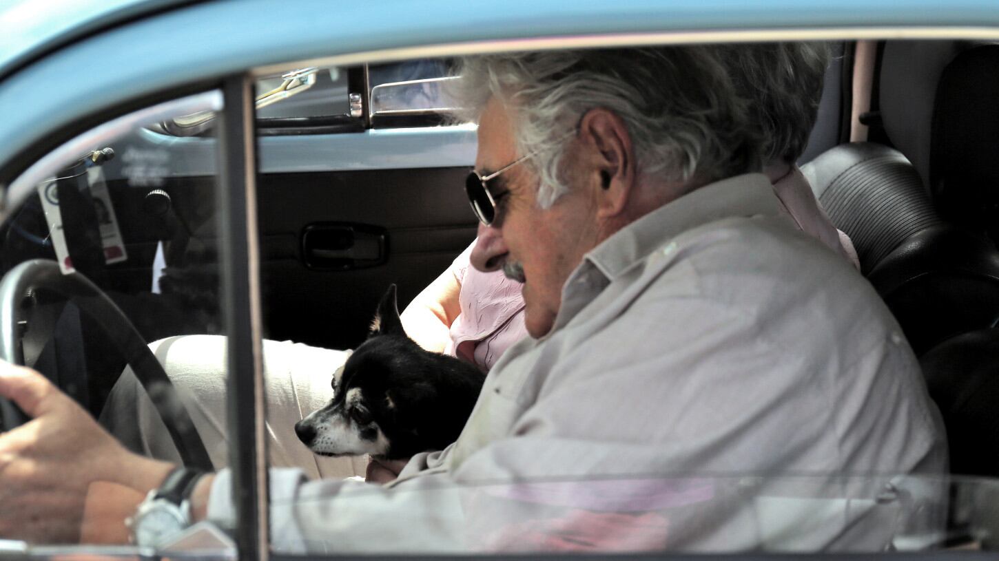 José ¨Pepe¨Mujica