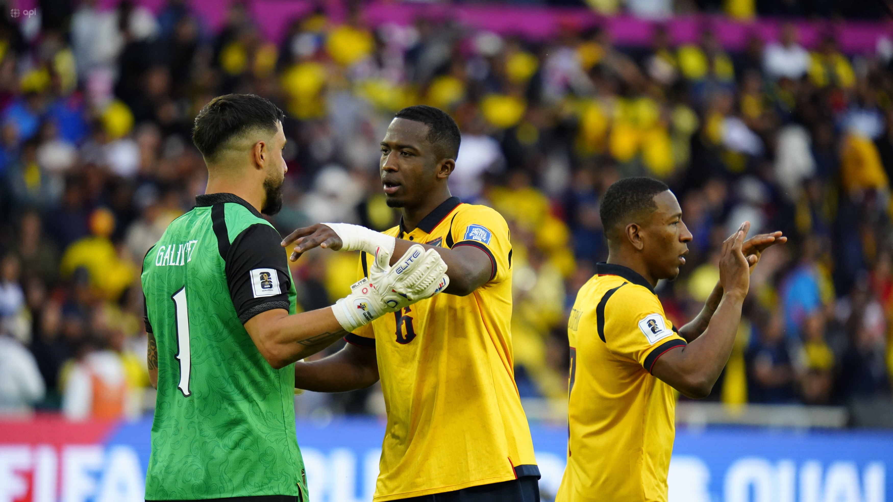 Quito, viernes 21 de marzo del 2025
Cotejo entre Ecuador vs Venezuela por eliminatorias al mundial de EEUU 2026, en el Estadio Rodrigo Paz Delgado.
API / DANIEL MOLINEROS