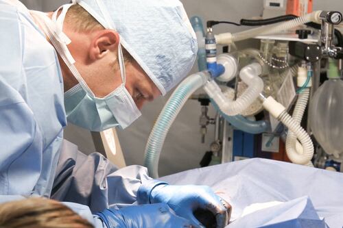 ¿Cómo reconocer los síntomas de una apendicitis?