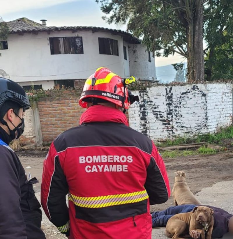 Dos perritos protegieron a su dueño atropellado en Cayambe hasta que llegaron los bomberos