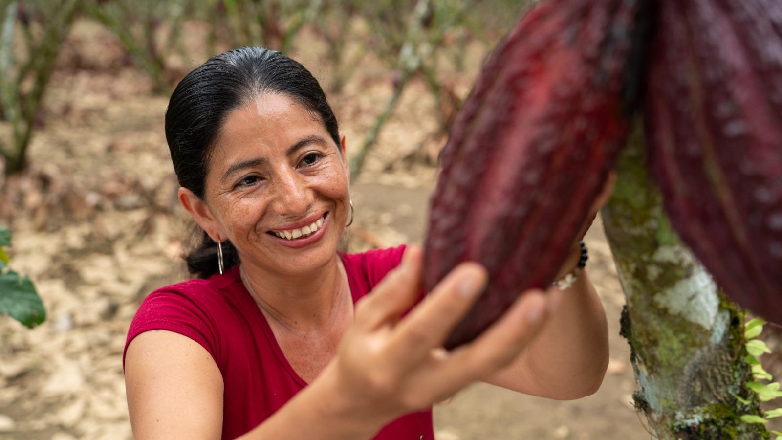 Plan Cacao Nestlé Ecuador