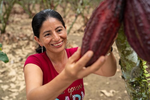 Plan Cacao de Nestlé destaca a las mujeres que están impulsando una nueva era para el agro y el cacao ecuatoriano
