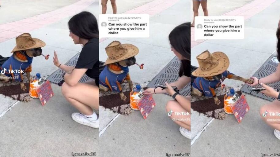 El divertido video se hizo viral en Tik Tok