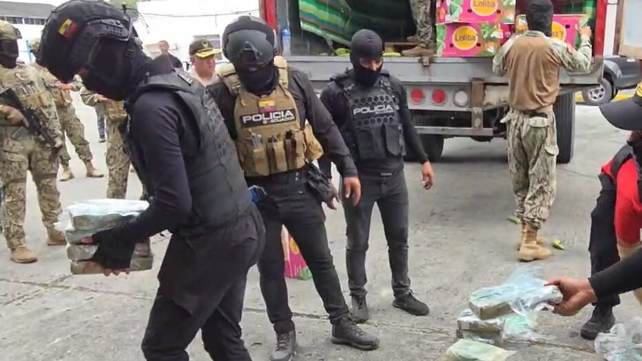Decomisan tres toneladas de cocaína en cajas de banano: serían de la mafia albanesa