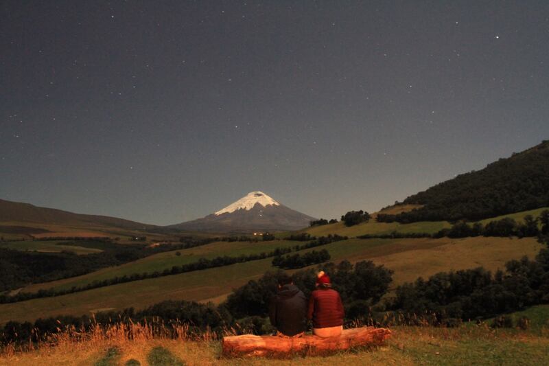 Cine Camping para el feriado