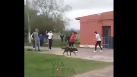 Pelea entre estudiantes.