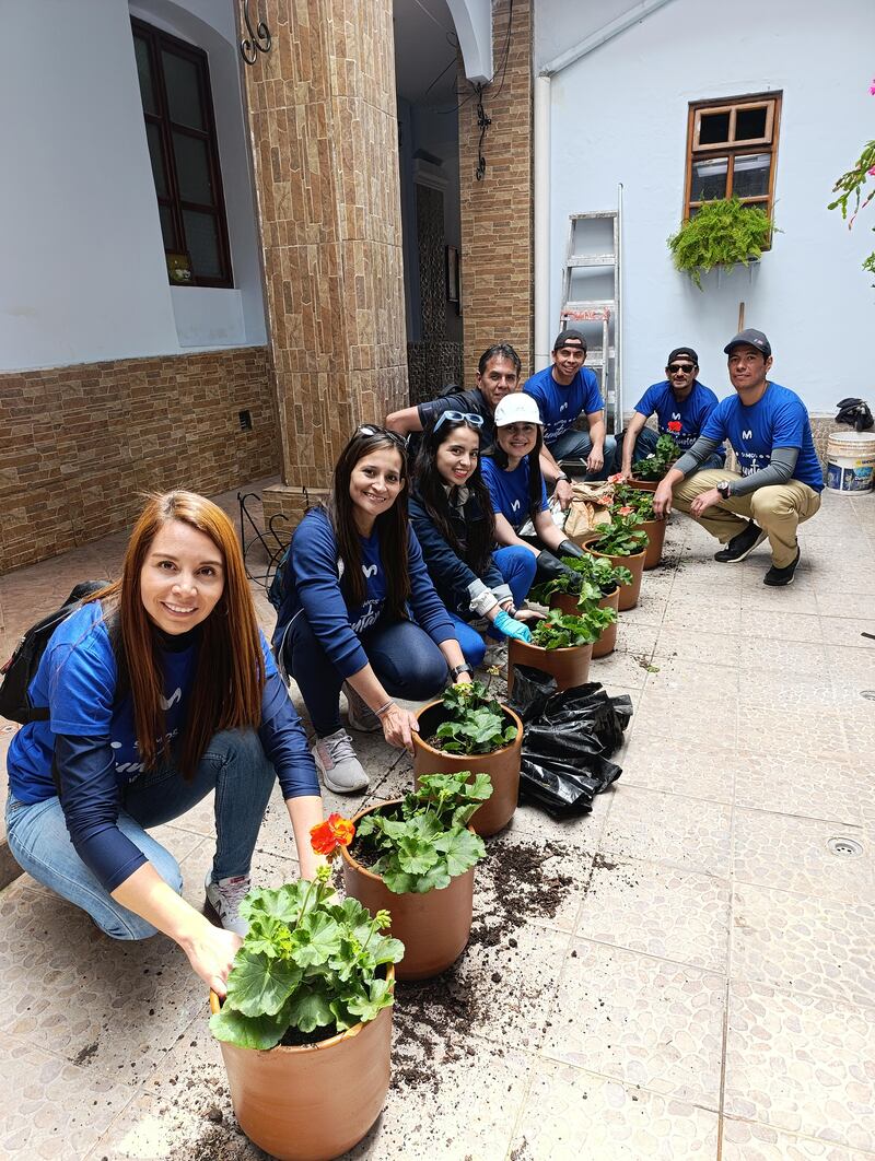 Colocación de 1300 geranios en el sector de San Marcos