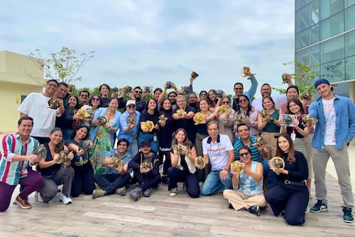 Maruri alcanza hito histórico en Cannes: la agencia ecuatoriana con más Leones