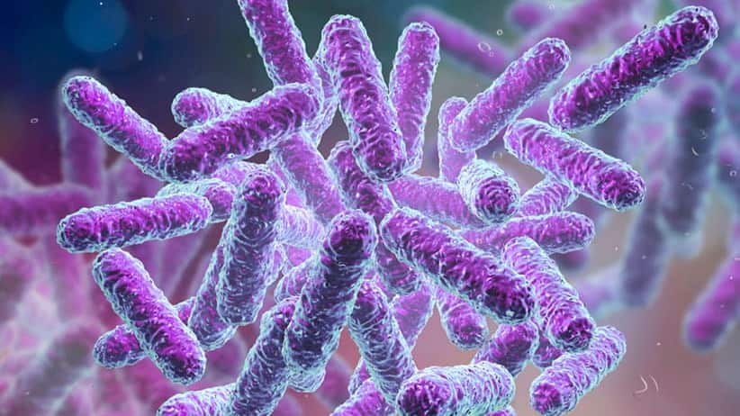 Se confirma los primeros 9 casos de tifoidea en Guayaquil, afirma el MSP