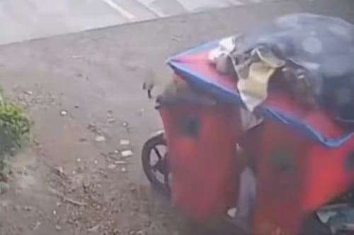 Capturan en Ecuador a sospechoso del asesinato de mujer hallada dentro de un colchón en Perú