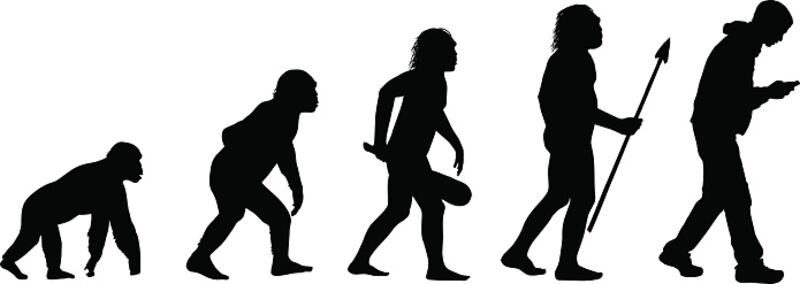 Evolución del ser humano