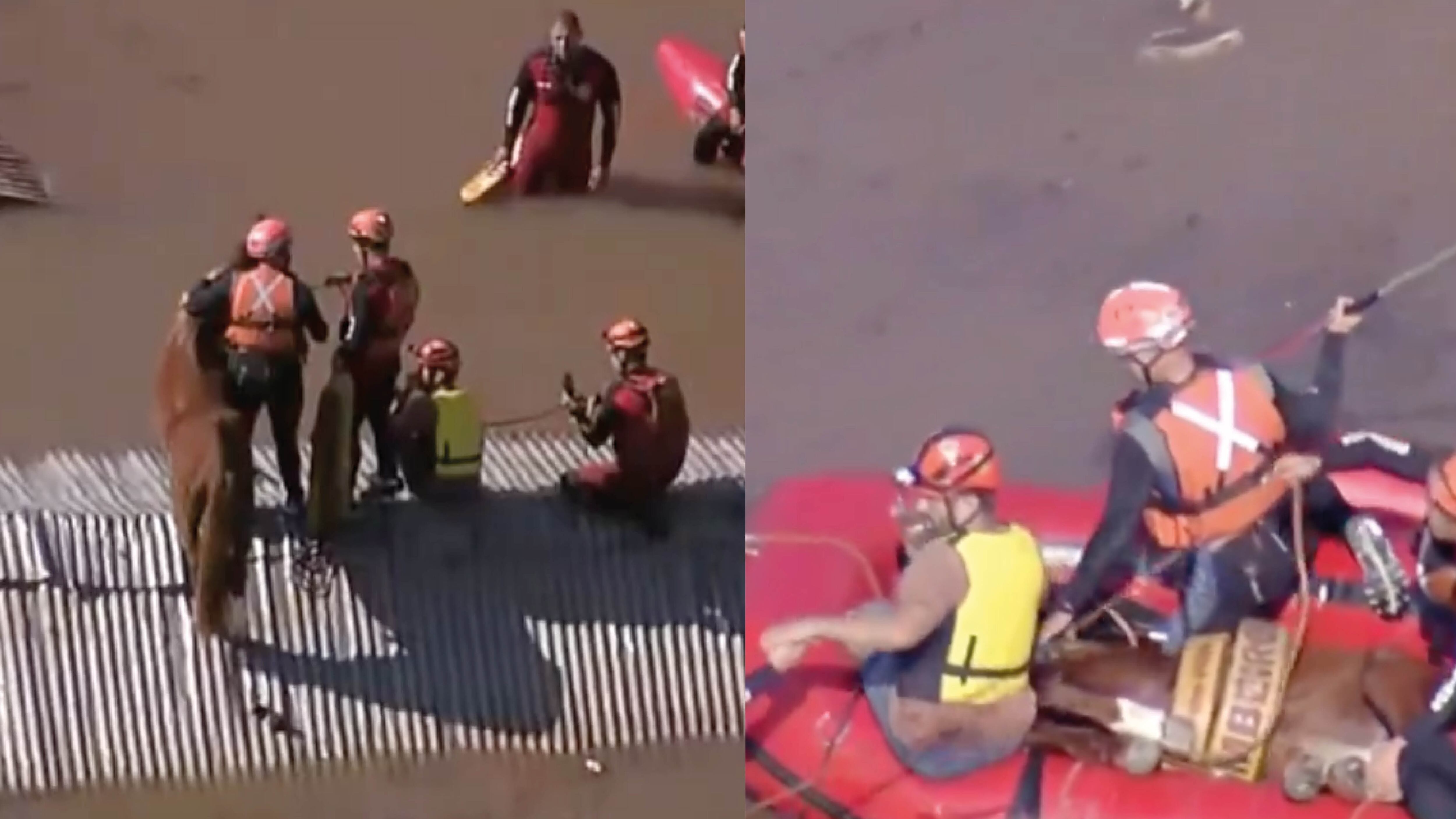 Rescatan a 'Caramelo', el caballo atrapado en un techo por inundaciones en Brasil
