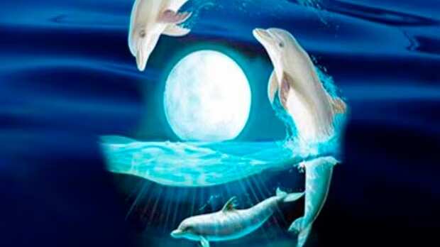 Escoge una de las dos siluetas de la imagen.