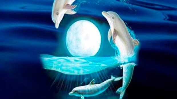 Escoge una de las dos siluetas de la imagen.